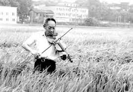 Worldwide, a fifth of all rice now comes from. Yuan Longping Hybrid Rice And The Meaning Of Science In The Cultural Revolution And Beyond Sciencedirect