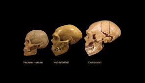 Maybe you would like to learn more about one of these? Biohacking Discovering Our Relationship To The Denisovans Adafruit Industries Makers Hackers Artists Designers And Engineers