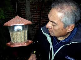 WHERE HAVE ALL THE SONGBIRDS GONE?: Leaf Blowers may be Cause of Drastic  Decline in Bird Population