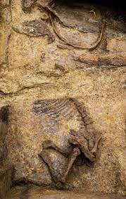 Résultat de recherche d'images pour "La Gaule de la conquête Romaine aux grandes invasions."