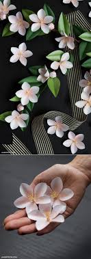 Kim Dombrowski (kdombrowski)