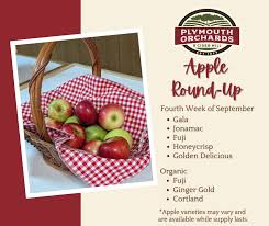 Image result for Autumn Gold Light 1977 Caloric