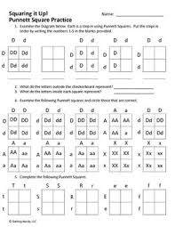 A genetic tool to solve genetics problems mathematically. Punnett Square Practice Distance Learning Punnett Squares Middle School Biology Lessons Word Problem Worksheets