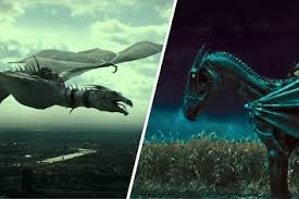 I think crystal fairy and the magical cactus is now one of my favourite movies ever it's amazing you should all watch it. Which Harry Potter Creature Are You