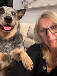 Any tips for car rides with a potty trained puppy?