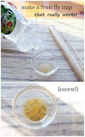 How To Get Rid Of Fruit Flies Fast With A Simple Diy Fruit Fly Trap Fruit Fly Trap Homemade Fruit Fly Trap Diy Fruit Fly Trap