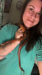 Young rat snake wants to be friends