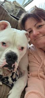 Young Thor is still available for rehoming, unfortunately the lady who was  taking him has had a change of circumstances. He is a lovely bay colt and  deserves his own human. Please