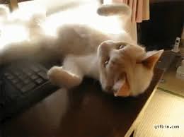 Https Encrypted Tbn0 Gstatic Com Images Q Tbn And9gcsdrdlqllbktdfhz9sit9vufjj7mu3i8upsda Usqp Cau