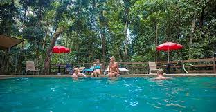 Cape Tribulation Accommodation Beach House Rainforest Cabin Style Accommodation Rainforest Retreat Qld