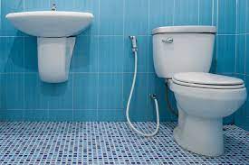 Best Flushing Toilet Toilet Flush Toilet Flushing