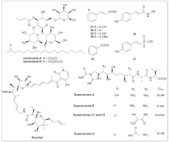Research Progress on Small Molecular Inhibitors of the Type 3 Secretion  System