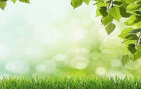 Select photo album > new photo album…. 5 Best Sites For Free Microsoft Powerpoint Backgrounds