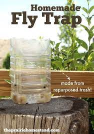 Homemade Fly Trap The Prairie Homestead Homemade Fly Traps Fly Traps Diy Fly Trap