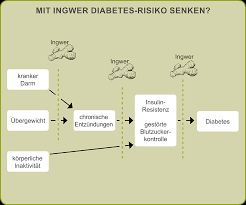 Diabetes Mellitus Ingwer Wirkung Mit Ingwer Gegen Diabetes Mellitus