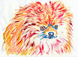 Cute boston terrier dog in a bug halloween costume #1266814 by pushkin. Amazon Com Pomeranian Do Art Colorful Pomeranian Dog Nursery Art Pomeranian Dog Decor Gift For Pomeranian Owner Pomeranian Mom Colorful Orange And Blue Modern Art Print Handmade