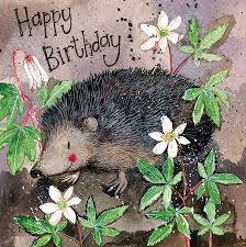 Happy birthday brother and sister. Happy Birthday Card The British Hedgehog Preservation Society Online Shop