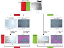 Jan 19, 2019 · didal name meaning: Visualization Of The Charcoal Agar Resazurin Assay For Semi Quantitative Medium Throughput Enumeration Of Mycobacteria Protocol