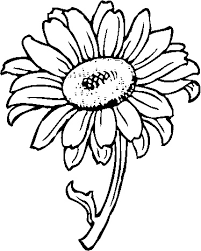 Search through 623,989 free printable colorings at getcolorings. Free Printable Daisy Coloring Pages Free Coloring Pages