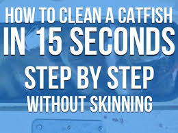 Catfish are fun to catch and great to eat. How To Clean A Catfish In 15 Seconds Step By Step
