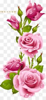 Check spelling or type a new query. Download Wallpaper Bunga Ros Hd Cikimm Com