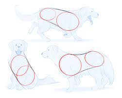 As i try to hand draw a walk cycle, this is a good reference, although a bit exaggerated. How To Draw Dogs Art Rocket