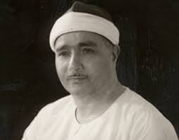 Mohamed Shaaban Abu Qarn