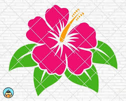 Tatoo vorlage hibiskus kostenlos / ideal anatomisches herz tattoo sara317 anatomisches herz. 59 Hibiskus Ideen In 2021 Hibiskus Blumen Hibiskus Zeichnung