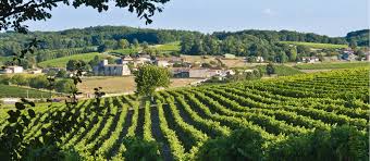Suivez notre actualité en photos avec #nouvelleaquitaine. Die Landschaften Im Cognac