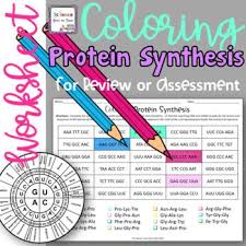 In fact, this will help ensure that you have a very precise and accurate transcription and translation worksheet answer key. Pin On Products