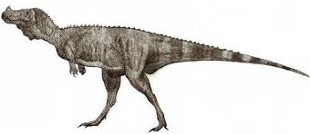 New materials of masiakasaurus knopfleri sampson, carrano, and forster, 2001, and implications for the morphology of the noasauridae (theropoda: A Dinosaur A Day Camarillasaurus Cirugedae