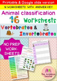 Work sheet on introduction to inverta brate / vertebrates and invertebrates worksheets : Vertebrates And Invertebrates Worksheet Teachers Pay Teachers