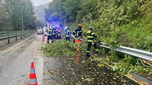 Rundschau Online - News update