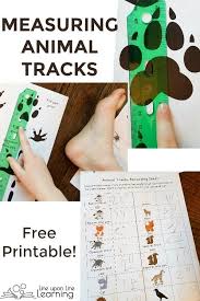 Animal Tracks Measuring Activity Free Printable Animal Activities For Kids Measurement Activities Nature School