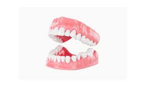 Image result for dentures