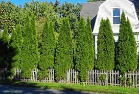 Check spelling or type a new query. The Recorder Between The Rows Hedge Your Bets
