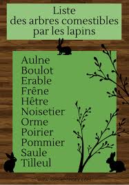 Liste Des Arbres Pets Online Bunny House Pets