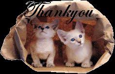 Cara membuat animasi bergerak di powerpoint master presentasi. Animasi Bergerak Terima Kasih Untuk Powerpoint Cat Wallpaper Kittens Cutest Cats