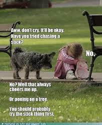 ♡ corny jokes for cheering up ♡. Top 50 Jokes To Cheer Up Someone