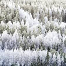 Pin On Celebrating The Seasons