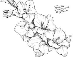 How To Draw A Gladiolus Step By Step Gladiolus Flower Tattoos Flower Drawing Birth Flower Tattoos Your drawings may also be featured on the homepage!! how to draw a gladiolus step by step