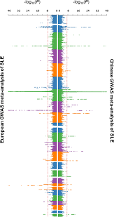 We did not find results for: Identification Of 38 Novel Loci For Systemic Lupus Erythematosus And Genetic Heterogeneity Between Ancestral Groups Nature Communications