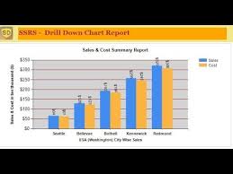 Ssrs How To Create Drill Down Chart Report