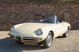 Image result for Avorio 1982 Alfa-Romeo