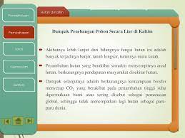 Rimba, kayu, hutan, hutan kecil. Hutan Kalimantan Timur Ppt Download