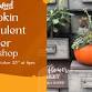 Pumpkin Succulent Planter Workshop event image