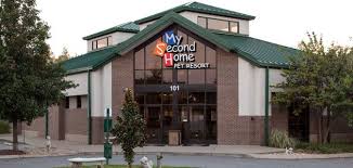 My Second Home Dog And Cat Boarding Nashville Tn Pet Resort Pet Boarding Dog Boarding