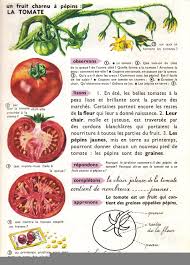 Godier Moreau Premier Livre De Lecons De Choses Ce 1957 Lecon De Choses Fruits Et Legumes L Education Francaise