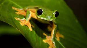 1,340 likes · 2 talking about this. Subiecte Biologie Bac 2016 Subiecte Si Barem La Anatomie Si Biologie VegetalÄƒ