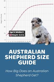 Maybe you would like to learn more about one of these? Homepage Puppy Weight Calculator